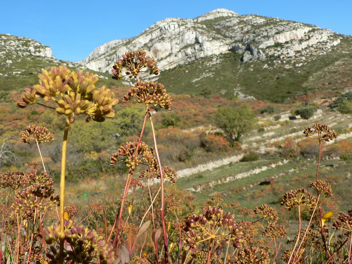Contact Hotel Marseille Aubagne La Penne-sur-Huveaune Zewnętrze zdjęcie